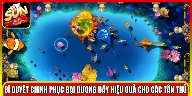 Bí quyết chinh phục đại dương đầy hiệu quả cho các tân thủ