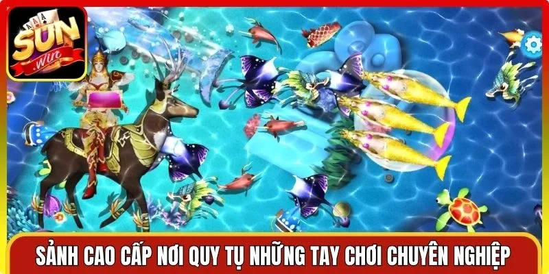 Sảnh cao cấp nơi quy tụ những tay chơi chuyên nghiệp