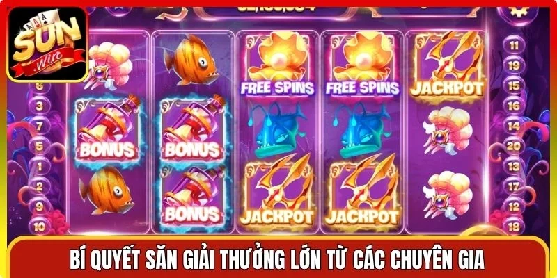 Bí quyết săn giải thưởng lớn từ các chuyên gia